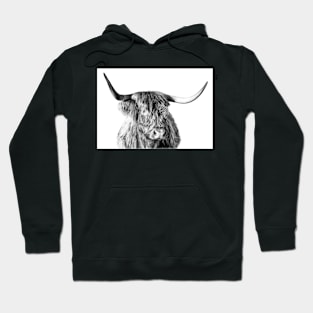 Highland Cow Hoodie